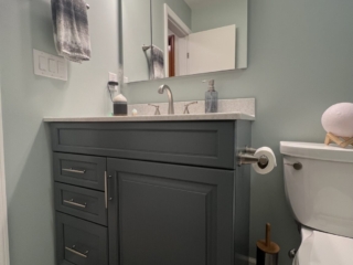 Classic bathroom, sink with dark green cabinets, lighting