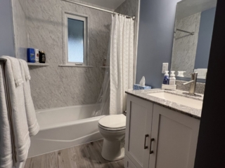 Classic small bathroom, shower and bathtub, blue walls, black and white marble shower walls, two-piece toilet